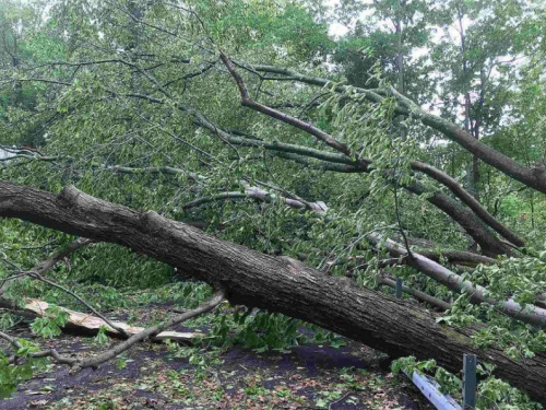 HNŽ: Nevrijeme rušilo stabla, stanovništvo ostalo bez struje