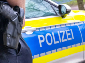 Bh. državljanin prevario 31 osobu za više od 400.000 eura