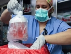 Prvi put čovjeku transplantiran bubreg svinje: ''Najljepši bubreg koji sam vidio''