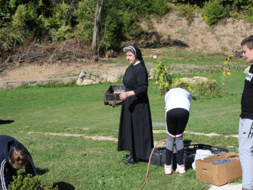 FOTO/VIDEO: Ljubav na djelu