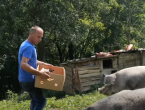 Ostavio grad i preselio se na selo: Proizvodi sve i nikad ne ide u trgovinu