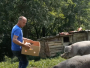 Ostavio grad i preselio se na selo: Proizvodi sve i nikad ne ide u trgovinu
