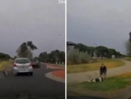 Video: Vozila kružnim tokom i nesretni pas joj ispao kroz prozor. ‘Gdje joj je bila pamet!‘