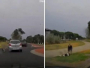 Video: Vozila kružnim tokom i nesretni pas joj ispao kroz prozor. ‘Gdje joj je bila pamet!‘