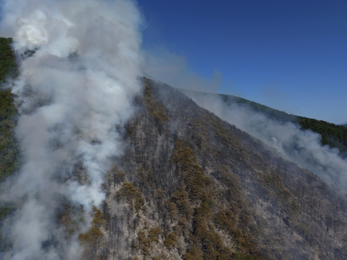 VIDEO/FOTO: Požar u Podboru - Vatrogasci nemoćni, borovina gori nekontrolirano