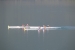 FOTO: Na Ramskom jezeru održana veslačka regata