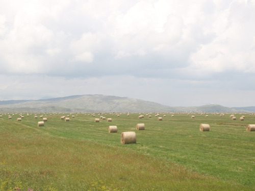 Loša godina za ramsku poljoprivredu i stočarstvo?