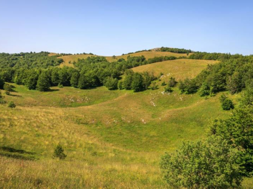 Ravašnica - sveto ramsko tlo!