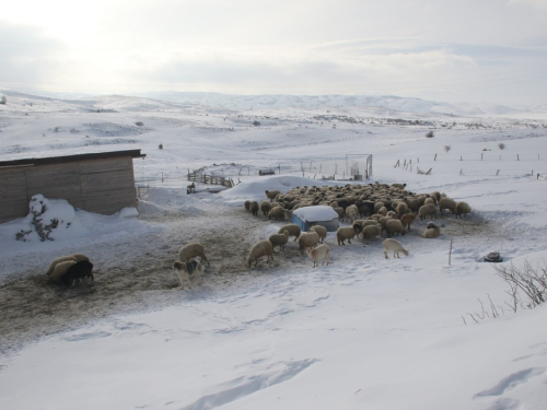 FOTO: Čuvari ''Ramskih vrata''