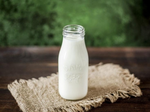 Danas je svjetski dan mlijeka - napitka koji ne koristimo dovoljno
