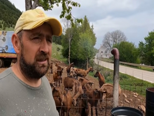 VIDEO: Sve je teže naći pastire, farmeri nabavljaju dronove za nadzor stoke