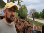 VIDEO: Sve je teže naći pastire, farmeri nabavljaju dronove za nadzor stoke