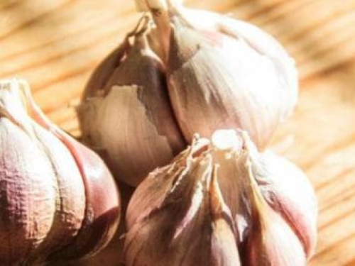 Mali trik s češnjakom koji mijenja okus cijelog jela