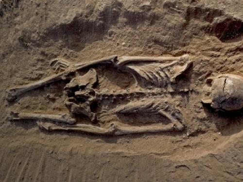 Pronađeni dokazi najstarijeg masakra u povijesti