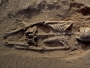 Pronađeni dokazi najstarijeg masakra u povijesti