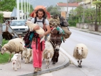 Iz Italije s ovcama i magarcem kroz Hercegovinu ide za Siriju