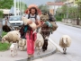 Iz Italije s ovcama i magarcem kroz Hercegovinu ide za Siriju