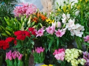 Dan žena: Znate li simboliku poklanjanja cvijeća?