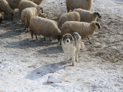 FOTO: Čuvari ''Ramskih vrata''