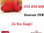 Pozivom na 092 890 888 donirate 2 KM za pomoć Ivi Šunjić