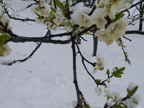 FOTO: Proljetni snijeg zabijelio Ramu