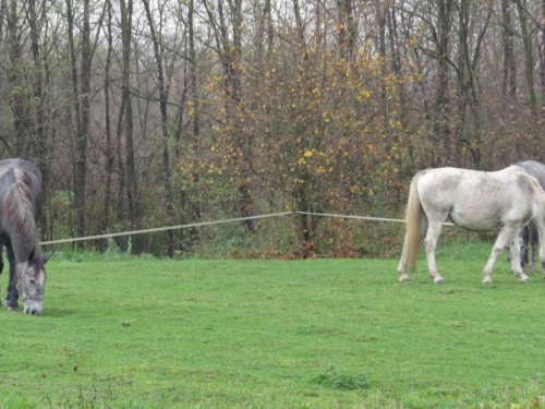 FOTO: Ramci posjetili Ilok i Vukovar