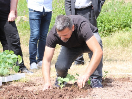 FOTO: Udruga ''Naša zemlja'' Jurići započela probnu poljoprivrednu proizvodnju