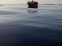 Papa Franjo: Mediteran postao "groblje" za migrante