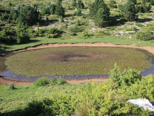 FOTO/VIDEO: S HPD-om Rama na Vran planini