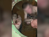 Šire se snimke brutalnog kažnjavanja ruskih dezertera