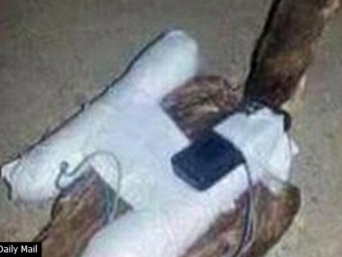 Kokoši samoubojice u rukama Islamske države