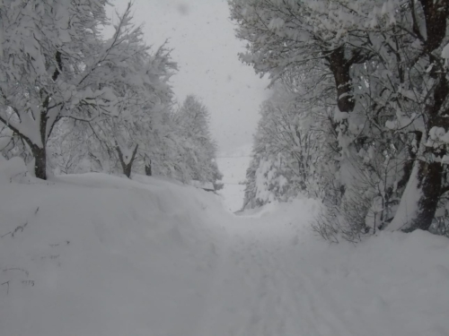 FOTO: Visina snijega na Orašcu 76 cm