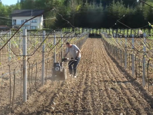 VIDEO: Miroslav Škoro posadio prvi vinograd u Središnjoj Bosni