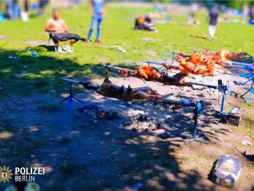 Nijemci u šoku: Grupa ljudi iz BIH u parku ''okrenula'' 12 janjaca