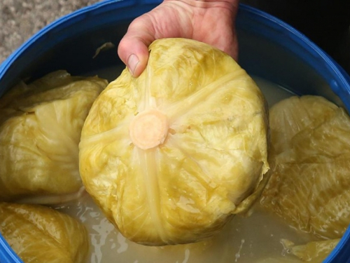 Kiseli kupus na najbrži način