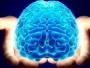 20 činjenica o mozgu koje niste znali
