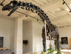 Kostur dinosaura prodan za 4,7 milijuna eura