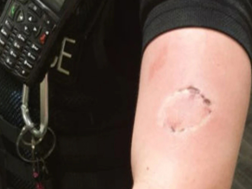 Lopov iz BiH pokušao ugristi policajca, zabranjen mu ulaz u Njemačku