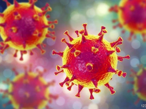 Možete biti zaraženi sa dva soja koronavirusa istovremeno