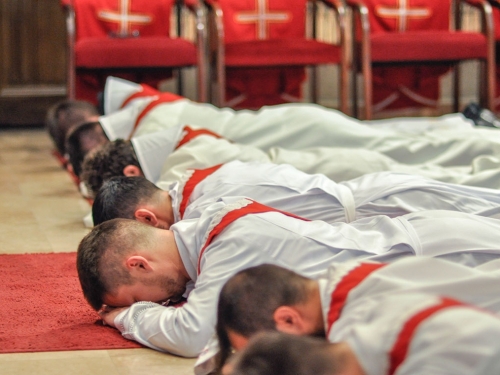 Kardinal osmoricu đakona zaredio za svećenike