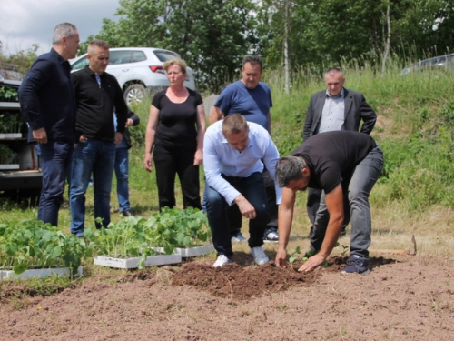 FOTO: Udruga ''Naša zemlja'' Jurići započela probnu poljoprivrednu proizvodnju