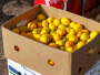 Jedemo li otrovne mandarine? U hrvatskim mandarinama pronađen opasni pesticid
