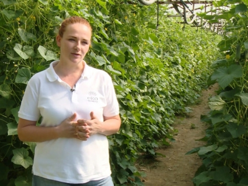 Hercegovka ostavila diplomu i postala uspješna eko poljoprivrednica
