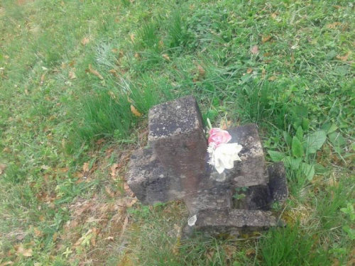 Blagoslov polja i misa na groblju Čelice