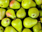 Na tržištu BiH kruške iz Belgije s povišenim ostatkom pesticida