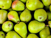 Na tržištu BiH kruške iz Belgije s povišenim ostatkom pesticida