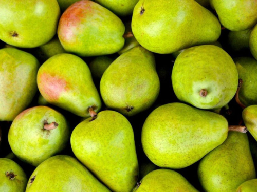 Na tržištu BiH kruške iz Belgije s povišenim ostatkom pesticida