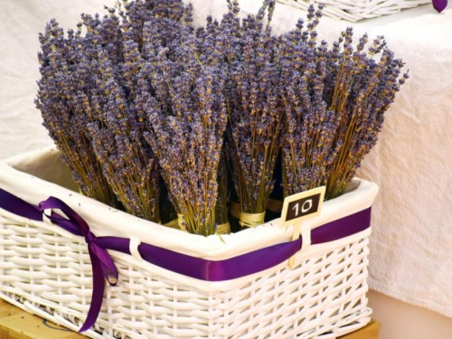 Svestrana lavanda pomaže i uklanja boli