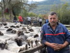VIDEO: Napustili Njemačku, vratili se svojim ovcama!