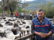 VIDEO: Napustili Njemačku, vratili se svojim ovcama!